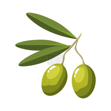 Téléchargez les illustrations : Branch with green olive seeds icon - en licence libre de droit