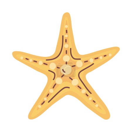Téléchargez les illustrations : Yellow starfish sealife nature icon - en licence libre de droit
