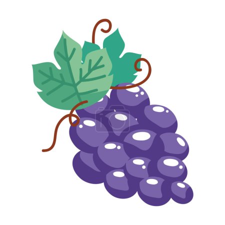 Illustration for Fresh grapes fruit healthy icon - Royalty Free Image