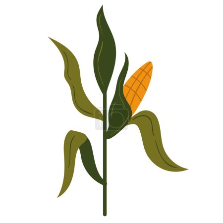 Téléchargez les illustrations : Maïs plante cultivant icône de la ferme - en licence libre de droit