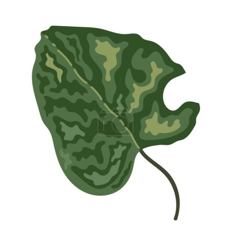 Illustration for Leaf plant foliage nature icon - Royalty Free Image