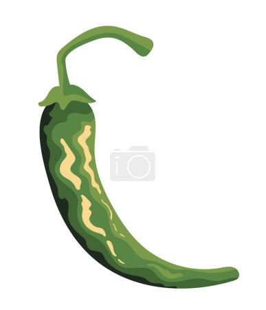 Téléchargez les illustrations : Green chilli pepper vegetable icon - en licence libre de droit