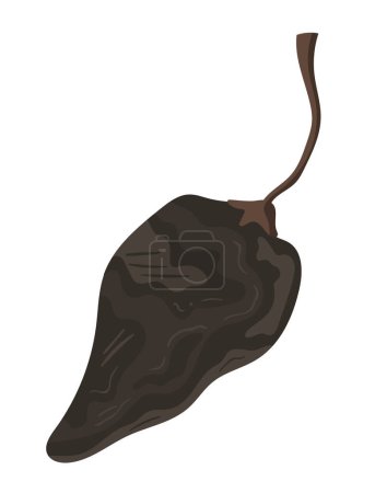 Ilustración de Chile chipotle pimienta vegetal icono - Imagen libre de derechos