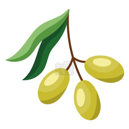 Illustration for Branch with green olive seeds icon - Royalty Free Image