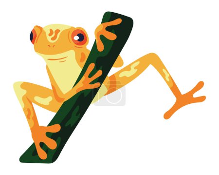 Illustration for Frog in branch exotic animal - Royalty Free Image