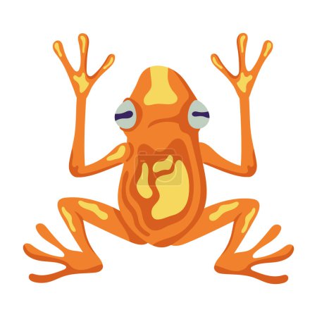 Ilustración de Orange frog exotic animal character - Imagen libre de derechos