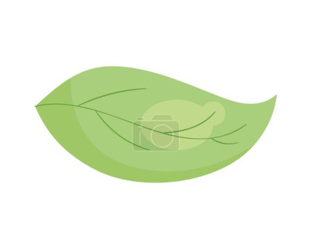 Illustration for Leaf plant foliage nature icon - Royalty Free Image