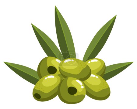 Illustration for Green olive seeds with leafs - Royalty Free Image
