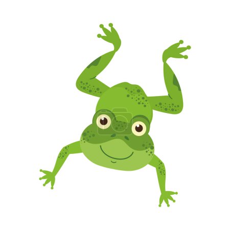 Illustration for Cute cartoon toad icon isolated - Royalty Free Image