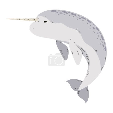 Illustration for Cute narwhal design over white - Royalty Free Image