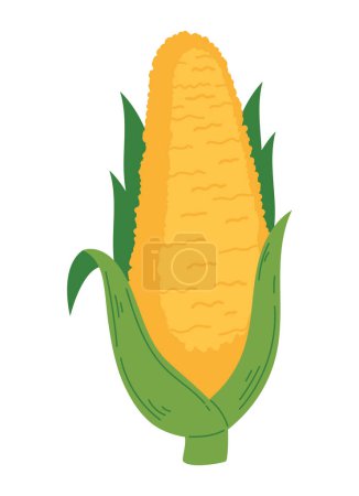 Illustration for Organic leaf corn cob icon isolated - Royalty Free Image