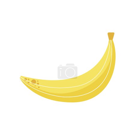 Téléchargez les illustrations : Banane biologique fraîche sur blanc - en licence libre de droit