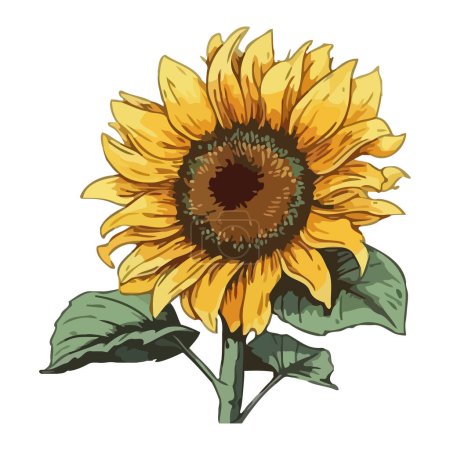 Illustration for Yellow sunflower blossom icon isolated - Royalty Free Image