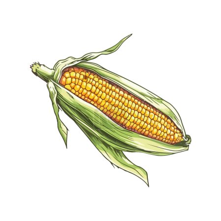 Illustration for Design of sweetcorn on the cob over white - Royalty Free Image