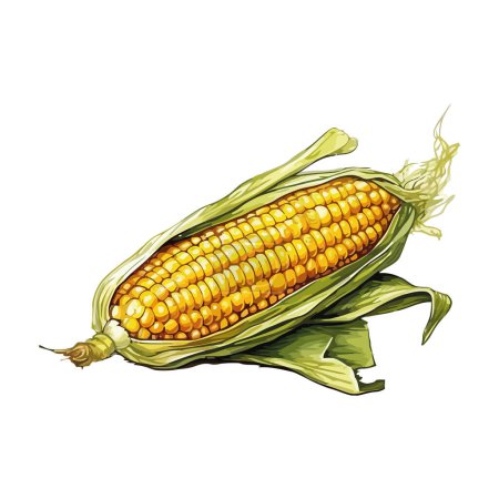 Illustration for Fresh sweetcorn on the cob over white - Royalty Free Image