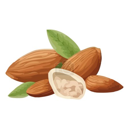 Ilustración de Snack de nueces orgánicas frescas, icono sano y gourmet aislado - Imagen libre de derechos