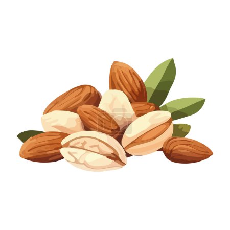 Ilustración de Snack saludable Mezcla de almendras, anacardos y pacanas aisladas - Imagen libre de derechos