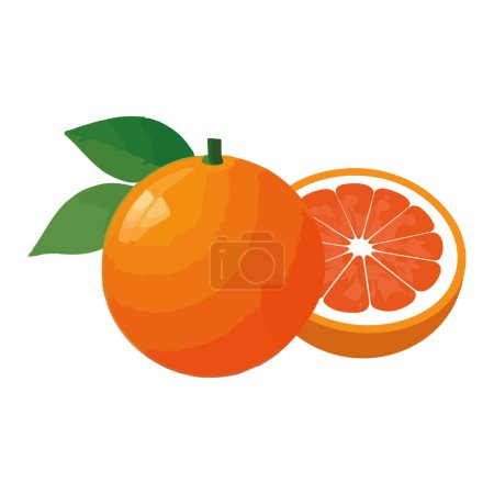 Téléchargez les illustrations : Tranches d'agrumes juteuses icône de rafraîchissement orange isolé - en licence libre de droit