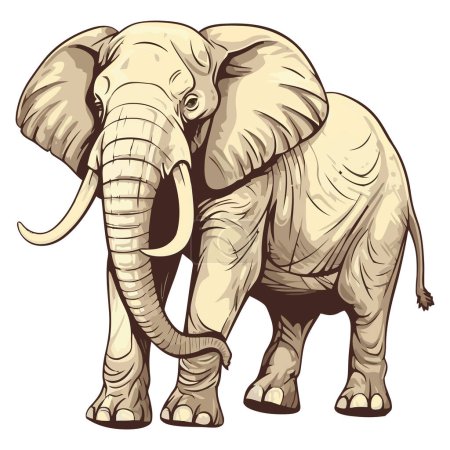 Large African elephant walking over white