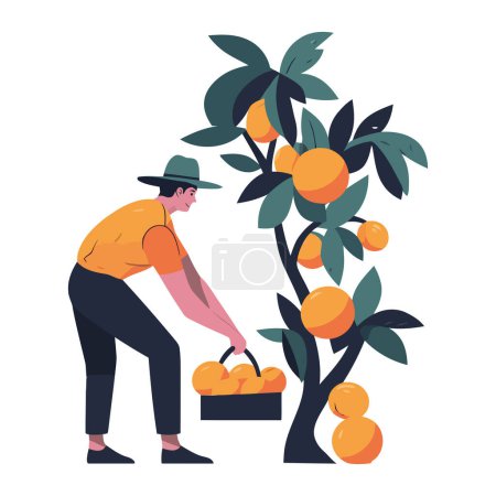 Illustration for Farmer working outdoors, harvesting ripe oranges icon isolated - Royalty Free Image