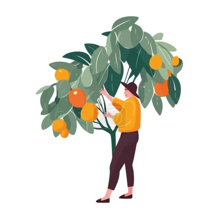 Téléchargez les illustrations : Homme tenant un arbre fruitier, icône de saison de récolte isolé - en licence libre de droit