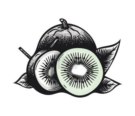 Illustration for Ripe kiwi slice, fresh fruit icon isolated - Royalty Free Image