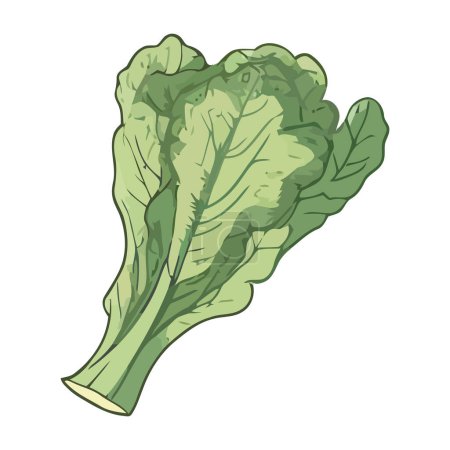 Illustration for Fresh organic kale salad over white - Royalty Free Image