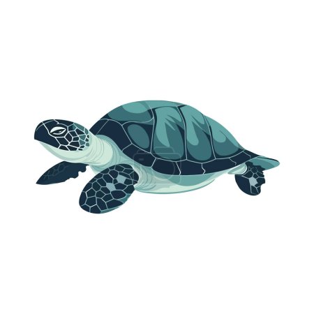 Téléchargez les illustrations : La tortue aquatique nage lentement sur le blanc - en licence libre de droit