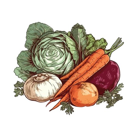 Téléchargez les illustrations : Légumes frais du jardin sur blanc - en licence libre de droit