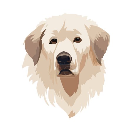 Illustration for Cute purebred retriever over white - Royalty Free Image