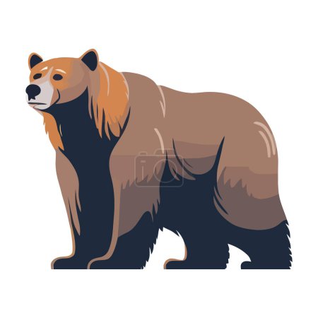 Téléchargez les illustrations : Design ours mignon sur blanc - en licence libre de droit