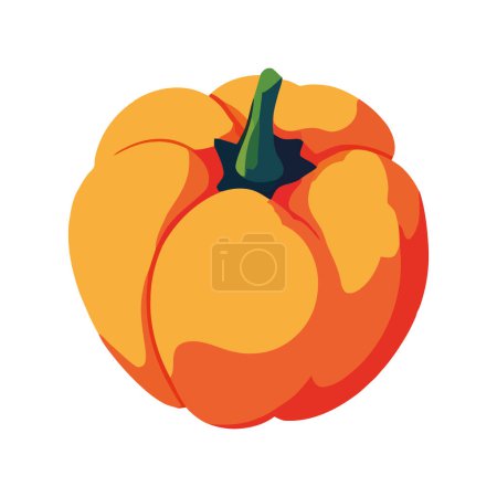 Illustration for Fresh organic pumpkin over white - Royalty Free Image