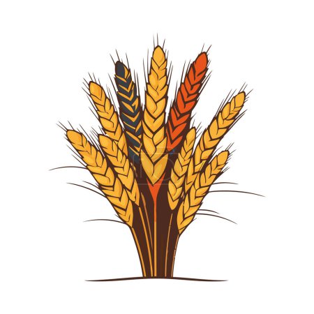 Illustration for Ripe wheat and barley harvested for fresh bread over white - Royalty Free Image