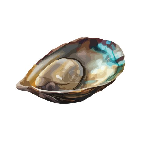 Illustration for Healthy oysters appetizer over white - Royalty Free Image