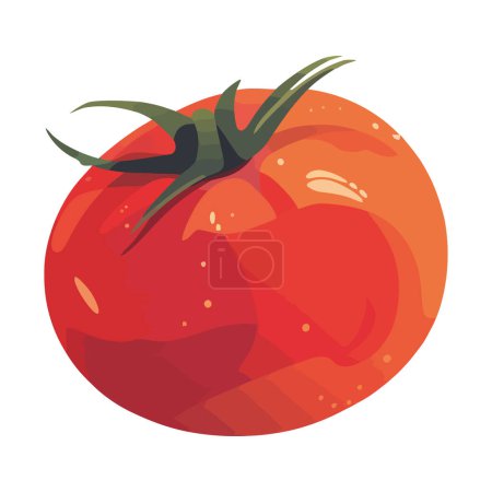 Téléchargez les illustrations : Tomate mûre, fraîche de la nature icône isolé - en licence libre de droit