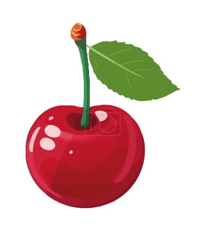 Illustration for Ripe fresh cherry, juicy and fresh, a delight icon isolated - Royalty Free Image