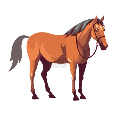 Illustration for Cute horse with leather harness icon isolated - Royalty Free Image
