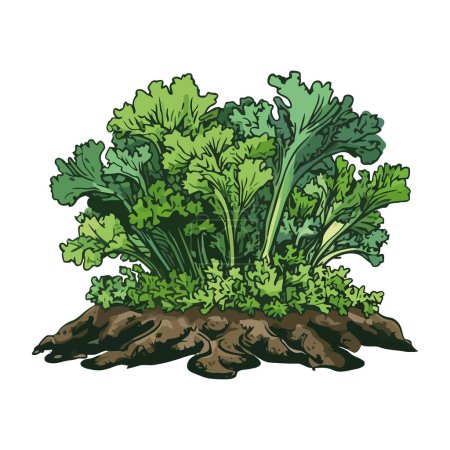 Ilustración de Hierbas y verduras orgánicas frescas cultivadas en la naturaleza icono aislado - Imagen libre de derechos