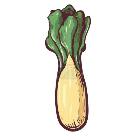 Illustration for Fresh vegetable design over white - Royalty Free Image