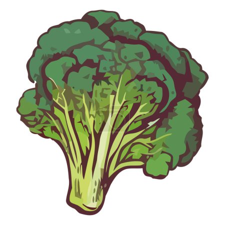 Illustration for Healthy broccoli design over white - Royalty Free Image