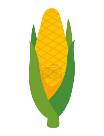 Illustration for Corn vegetable organic icon isolated - Royalty Free Image