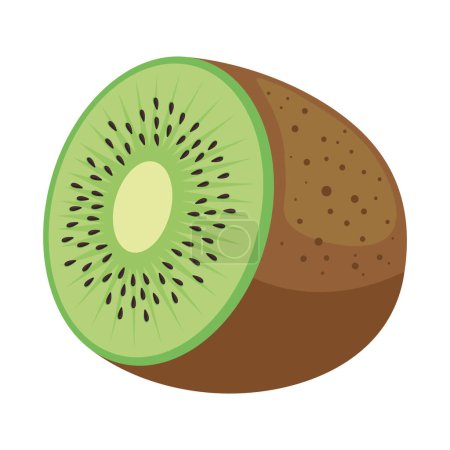 Téléchargez les illustrations : Kiwi fruits sur fond blanc icône isolé - en licence libre de droit
