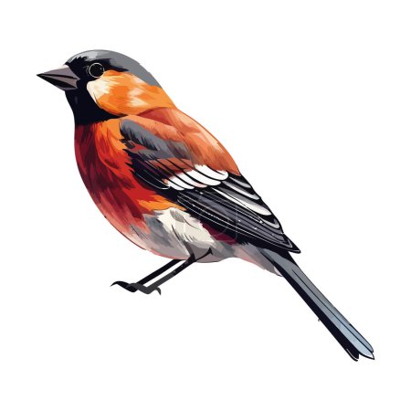 Ilustración de Lindo pequeño pájaro ilustración sobre blanco - Imagen libre de derechos