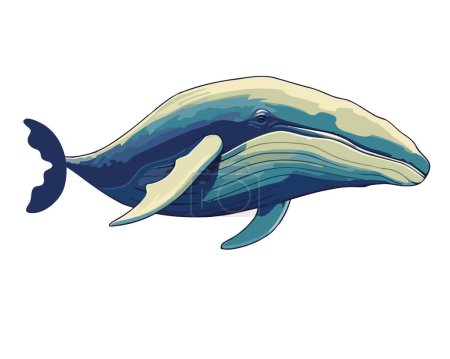 Illustration for Humpback sealife mammal illustration isolated - Royalty Free Image