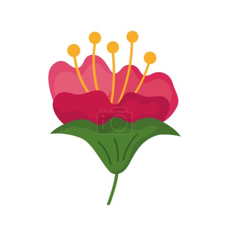 Téléchargez les illustrations : Fleur botanique illustration conception isolée - en licence libre de droit