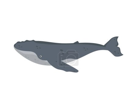 Illustration for Humpback sealife nature illustration isolated - Royalty Free Image