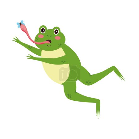 Illustration for Frog eating fly jumping illustration isolated - Royalty Free Image