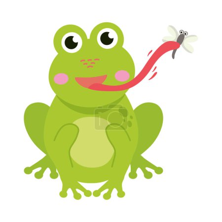 Illustration for Frog eating fly illustration vector isolated - Royalty Free Image