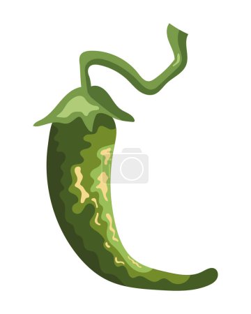 Illustration for Jalapeno green design vector isolated - Royalty Free Image