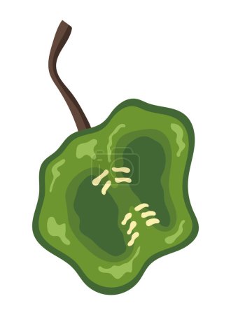 Illustration for Half jalapeno green vector isolated - Royalty Free Image